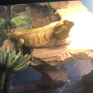 Meet your Posher, Catherine